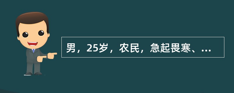 男，25岁，农民，急起畏寒、高热、全身酸痛6天，烦躁不安、气促1天，8月3日入院。查体：呼吸32次/分，心率132次/分，面色苍白，双肺有干湿性啰音，X线：有散在片状阴影且有融合趋势，血象：WBC15