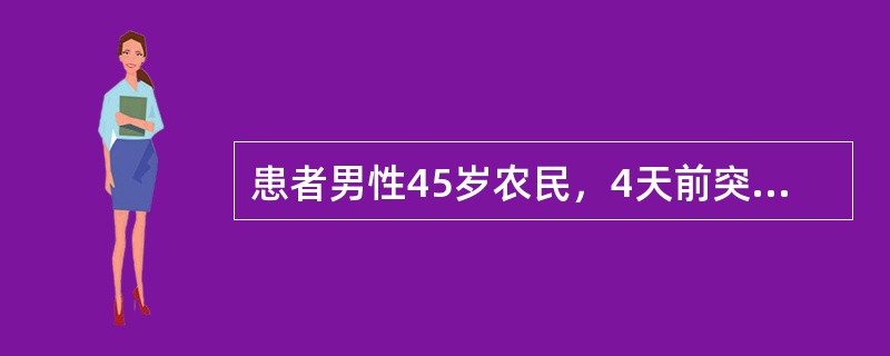 患者男性45岁农民，4天前突起寒战、高热、头痛，全身肌肉痛，尤以腓肠肌明显。后皮肤出现瘀斑瘀点，巩膜黄染，来院就诊。查体：T39℃，BP14／10kPa，巩膜黄染，腹股沟淋巴结肿大，肝大于肋下3cm，