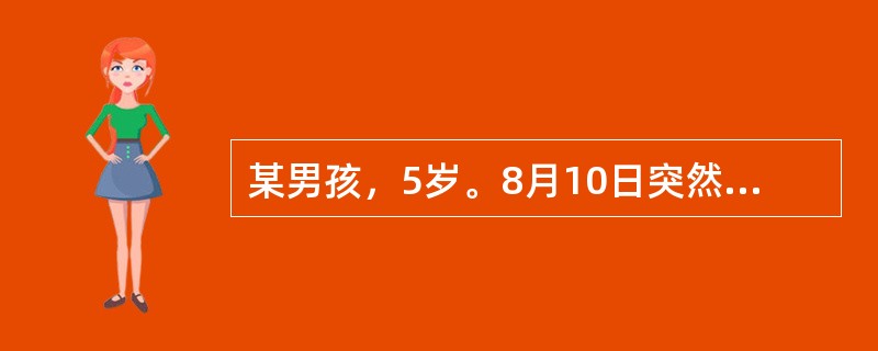 某男孩，5岁。8月10日突然畏寒，高热，精神萎靡，四肢厥冷，烦躁，进行性加重。6小时后意识障碍，急诊入院。查体：T40．5℃，P150次／分，R30次／分，血压测不到。面色苍白，意识不清，颈软，皮肤花