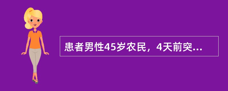 患者男性45岁农民，4天前突起寒战、高热、头痛，全身肌肉痛，尤以腓肠肌明显。后皮肤出现瘀斑瘀点，巩膜黄染，来院就诊。查体：T39℃，BP14／10kPa，巩膜黄染，腹股沟淋巴结肿大，肝大于肋下3cm，