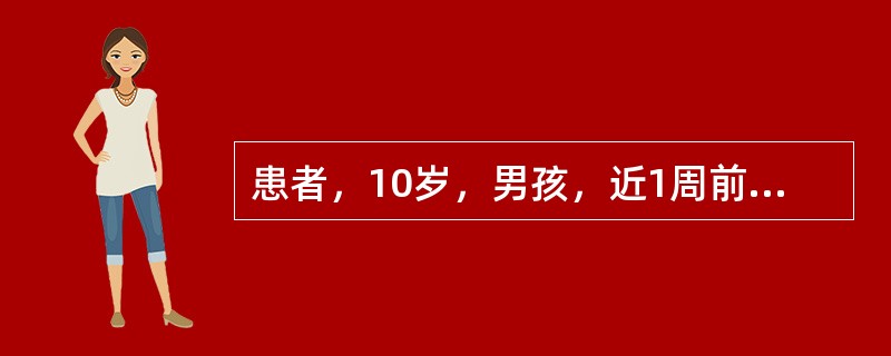 患者，10岁，男孩，近1周前出现食欲不振、恶心、呕吐，活动减少，伴有发热，体温在37～38％之间。近2天出现尿黄来医院就诊。出生时注射过乙型肝炎疫苗。检查：巩膜黄染，肝肋下1．5cm，脾未触及，化验A