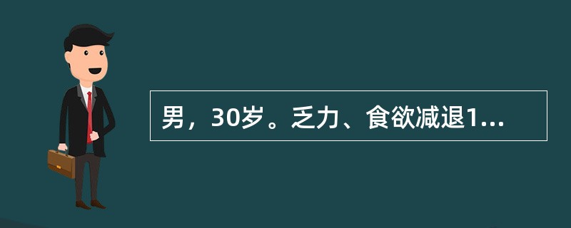 男，30岁。乏力、食欲减退1年。Hb90g/L，MCV110fl，MCH36pg，MCHC330g/L。贫血的形态学分类是