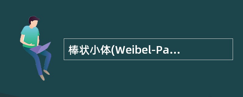 棒状小体(Weibel-Palade小体)是下列哪些物质产生的场所()