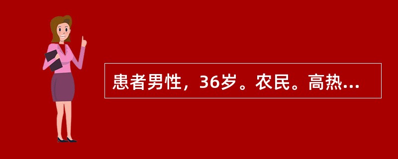 患者男性，36岁。农民。高热持续1周，畏寒、全身痛、腰背肌肉痛，腓肠肌压痛，球结膜充血，蛋白尿(+++)，腹股沟淋巴结蚕豆大小，病程第5天起咳嗽咯血不断，气促，喉中痰声辘辘，心率110次／分，口唇青紫