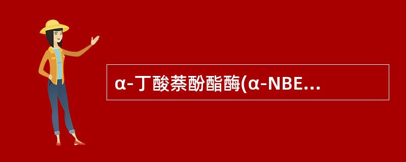 α-丁酸萘酚酯酶(α-NBE)染色可呈阳性的是