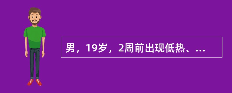 男，19岁，2周前出现低热、咽痛，后出现皮肤紫癜，伴血尿、关节肿痛，诊断过敏性紫癜。治疗不正确的是