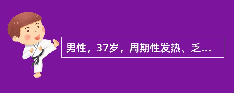 男性，37岁，周期性发热、乏力3月。查体：右颈部淋巴结及腹股沟淋巴结肿大，最大者2cm×4cm×2cm，肝脏肋下1cm，脾肋下3cm，血红蛋白94g／L，白细胞8.0×10<img border