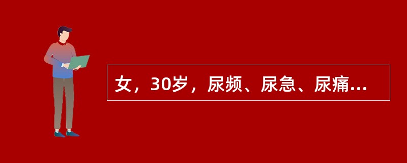 女，30岁，尿频、尿急、尿痛3天，尿检：白细胞6～10个／HPF，偶见白细胞管型，体检：38．5℃，肾区叩痛，双下肢无水肿。最可能的诊断为