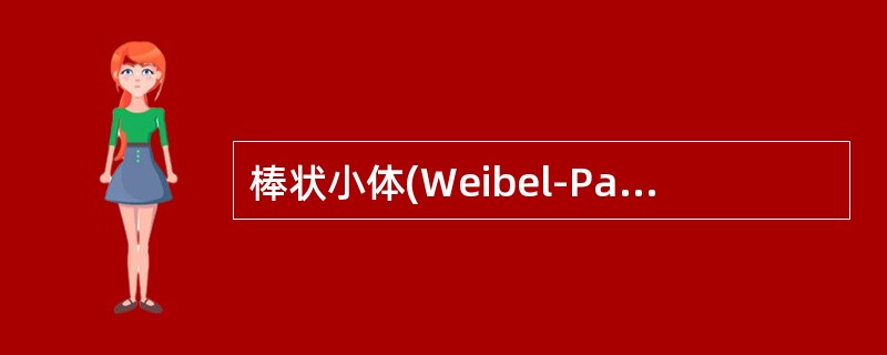 棒状小体(Weibel-Palade小体)是下列哪些物质产生的场所()