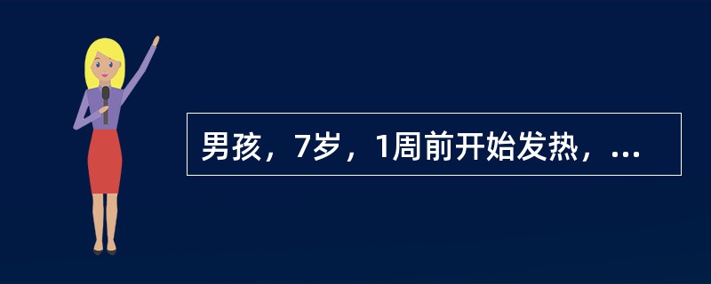 男孩，7岁，1周前开始发热，全身不适，食欲下降，大便干结，轻度腹胀，近2日轻咳无痰。体检：体温38.9℃，神志清，软弱，心脏无异常，两肺呼吸音略粗，肝肋下2cm，脾肋下5cm，无压痛。血常规：白细胞数