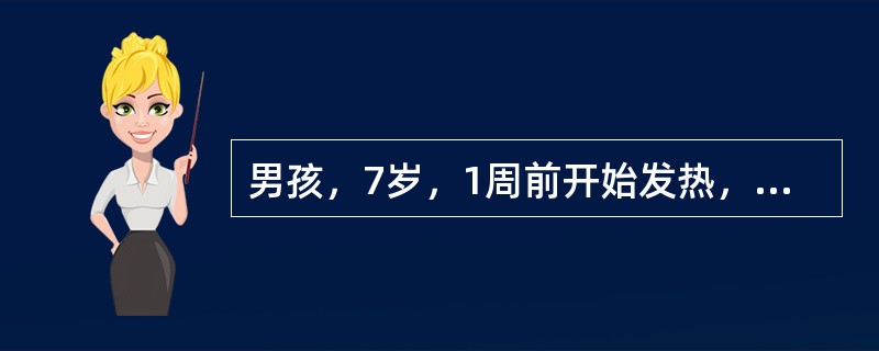 男孩，7岁，1周前开始发热，全身不适，食欲下降，大便干结，轻度腹胀，近2日轻咳无痰。体检：体温38.9℃，神志清，软弱，心脏无异常，两肺呼吸音略粗，肝肋下2cm，脾肋下5cm，无压痛。血常规：白细胞数