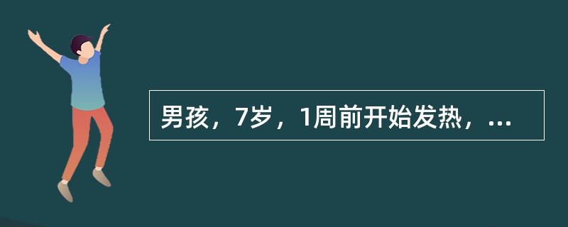 男孩，7岁，1周前开始发热，全身不适，食欲下降，大便干结，轻度腹胀，近2日轻咳无痰。体检：体温38.9℃，神志清，软弱，心脏无异常，两肺呼吸音略粗，肝肋下2cm，脾肋下5cm，无压痛。血常规：白细胞数