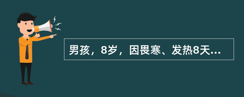 男孩，8岁，因畏寒、发热8天，伴纳差、腹胀、腹痛，大便每天1-2次，略稀，当地医院用青霉素治疗热不退转来。体检：体温39.2℃，神志清，精神萎靡，表情淡漠，舌苔厚，心肺无异常，腹略胀，肝肋下2cm，脾