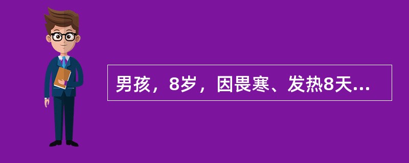 男孩，8岁，因畏寒、发热8天，伴纳差、腹胀、腹痛，大便每天1-2次，略稀，当地医院用青霉素治疗热不退转来。体检：体温39.2℃，神志清，精神萎靡，表情淡漠，舌苔厚，心肺无异常，腹略胀，肝肋下2cm，脾