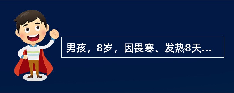 男孩，8岁，因畏寒、发热8天，伴纳差、腹胀、腹痛，大便每天1-2次，略稀，当地医院用青霉素治疗热不退转来。体检：体温39.2℃，神志清，精神萎靡，表情淡漠，舌苔厚，心肺无异常，腹略胀，肝肋下2cm，脾