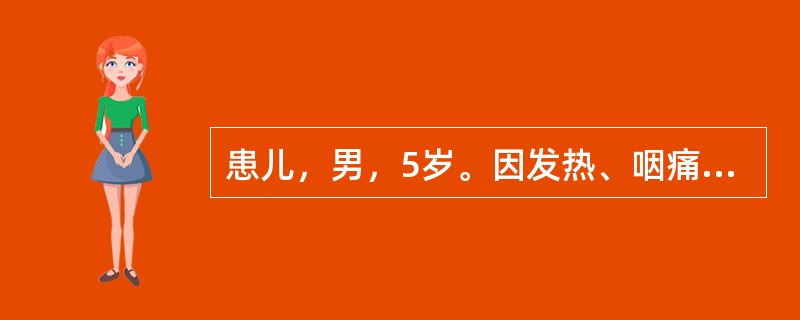 患儿，男，5岁。因发热、咽痛、呼吸困难2天入院，查体：T38.6℃，P100次／min，咽部可见一层灰白色膜状物，WBC23×10<img border="0" src=&q