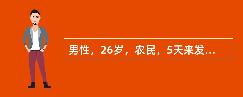 男性，26岁，农民，5天来发热、畏寒，1天来头痛、呕吐2次，于8月15入院，T39.6C，球结膜充血，颈有抵抗，腹股沟淋巴结肿大，有压痛，腓肠肌有压痛，尿蛋白（＋＋）。诊断应考虑