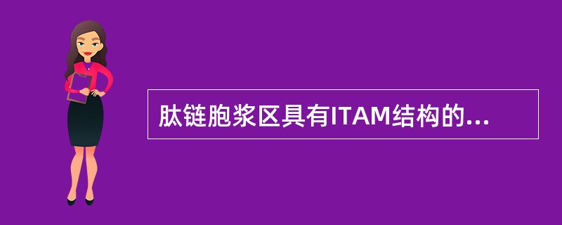 肽链胞浆区具有ITAM结构的是哪些膜分子()