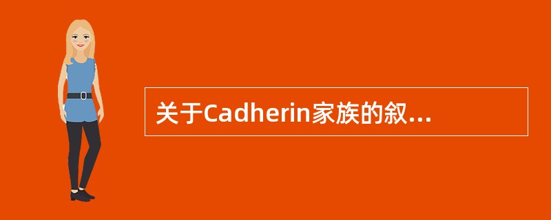 关于Cadherin家族的叙述，正确的是()