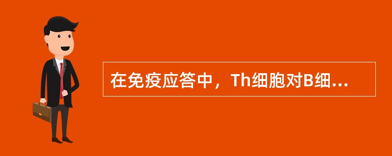 在免疫应答中，Th细胞对B细胞的辅助作用体现于