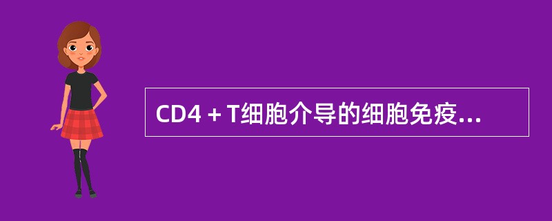 CD4＋T细胞介导的细胞免疫应答反应包括（）。