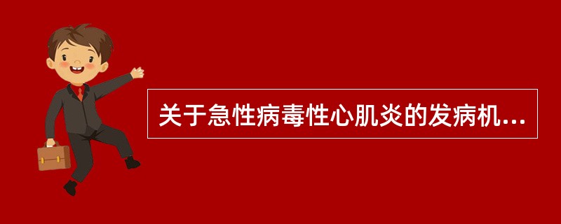 关于急性病毒性心肌炎的发病机制，下列说法正确的是