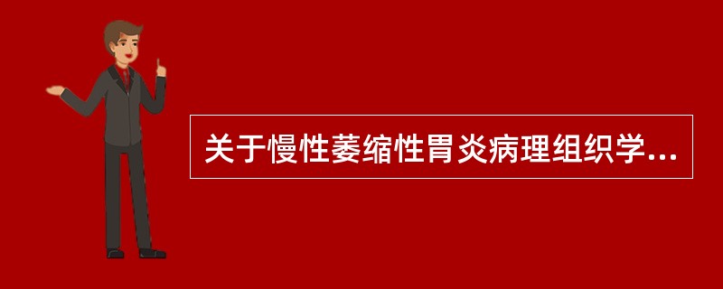 关于慢性萎缩性胃炎病理组织学包括