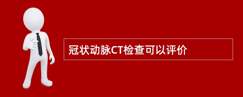冠状动脉CT检查可以评价