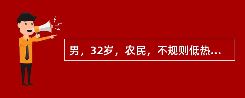 男，32岁，农民，不规则低热2月，伴夜间盗汗、乏力、食欲减退。近一月来有咳嗽，咳白黏痰，偶带少许血丝。体检无特殊，X线胸片示右上肺尖片状阴影，外周血白细胞计数正常。该患者初步诊断考虑什么病可能性最大