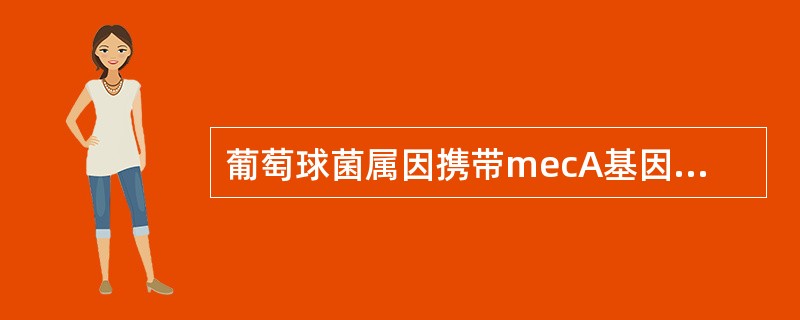 葡萄球菌属因携带mecA基因、产青霉素酶等机制而对β-内酰胺类抗生素耐药。关于检测MRS菌株的试验，下列叙述正确的是