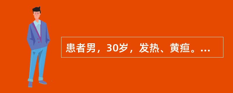 患者男，30岁，发热、黄疸。血清学检查HBsAg（－）、HBeAg（－）、HBsAb（－）。能证明该患者是HBV感染的指标是