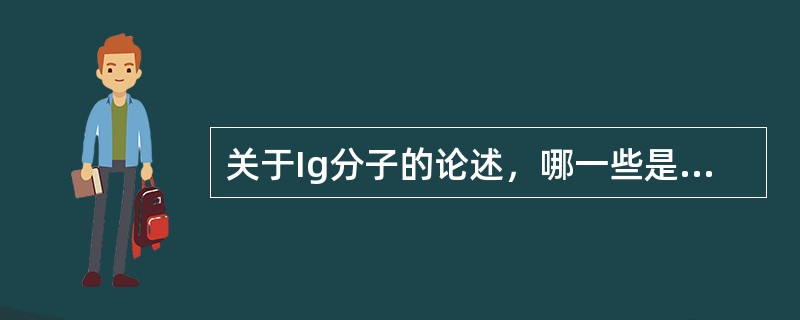 关于Ig分子的论述，哪一些是正确的()