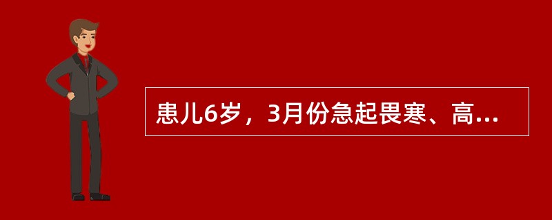 患儿6岁，3月份急起畏寒、高热、头痛、呕吐6小时。体查：T40℃，神志淡漠，全身皮肤黏膜有散在瘀点、瘀斑，颈部抵抗，克氏征阳性。血象：WBC15.0×10<img border="0&