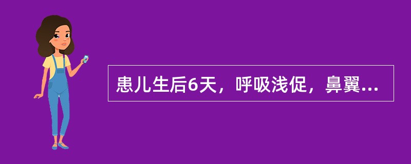 患儿生后6天，呼吸浅促，鼻翼扇动口唇发绀，吸气性三凹症，两肺呼吸音粗糙，可闻干湿啰音。最可能的诊断是