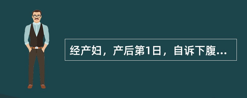 经产妇，产后第1日，自诉下腹痛。查有低热，出汗，咽无充血，无恶心、呕吐、腹泻，脐下2横指处触及一硬块上界，白细胞10×10<img src="http://timg.tk160.com