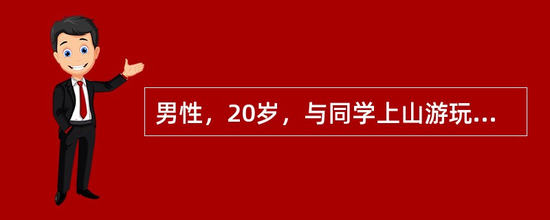 男性，20岁，与同学上山游玩，不慎被毒蛇咬伤小腿，伤口红肿疼痛又因伤口渗出血性液不止，送来医院处理，其中哪项不对