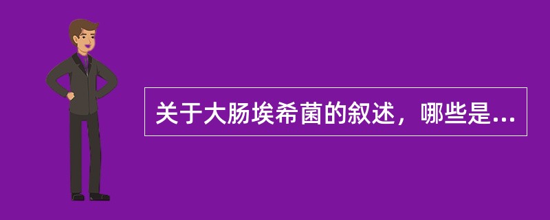 关于大肠埃希菌的叙述，哪些是正确的