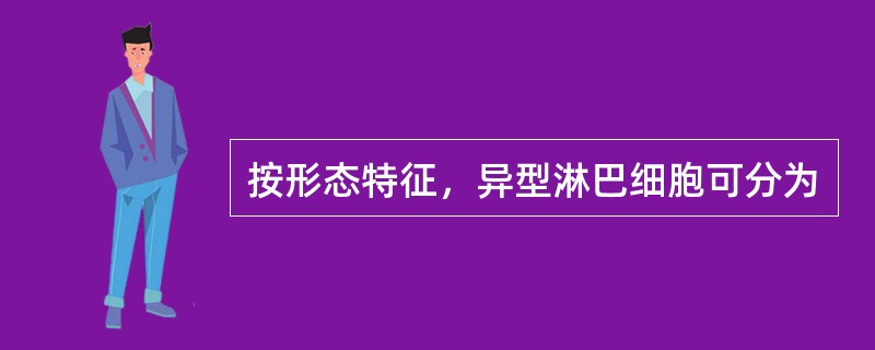 按形态特征，异型淋巴细胞可分为