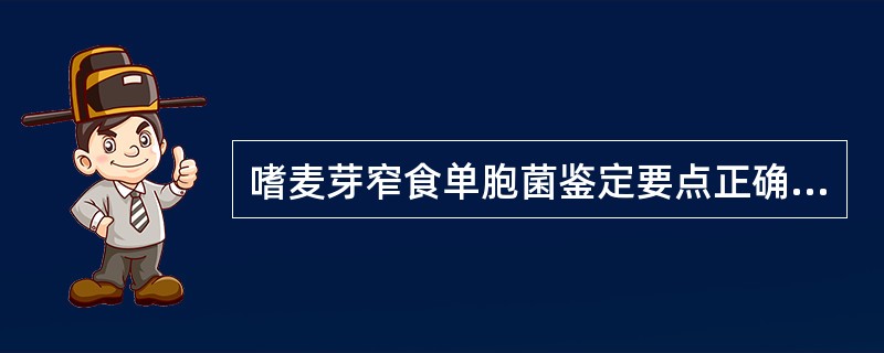 嗜麦芽窄食单胞菌鉴定要点正确的是