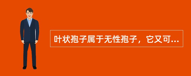 叶状孢子属于无性孢子，它又可以分为下列哪几种孢子