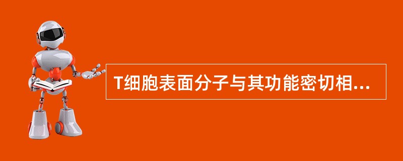 T细胞表面分子与其功能密切相关，其表面分子包括：CD2、CD3、CD4、CD5、CD7、CD8、TCR，以及一些协同信号分子等。T淋巴细胞上的抗原识别受体为