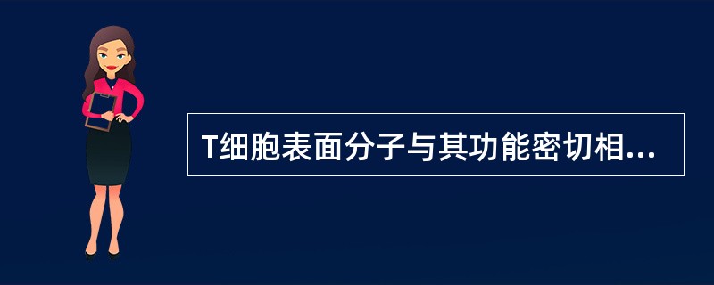 T细胞表面分子与其功能密切相关，其表面分子包括：CD2、CD3、CD4、CD5、CD7、CD8、TCR，以及一些协同信号分子等。可用于鉴定Th／TDTH细胞的抗原是