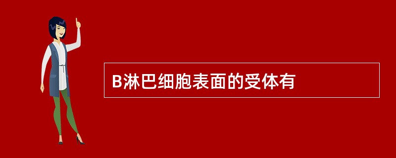 B淋巴细胞表面的受体有