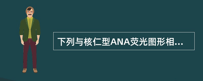 下列与核仁型ANA荧光图形相关的自身抗体是()