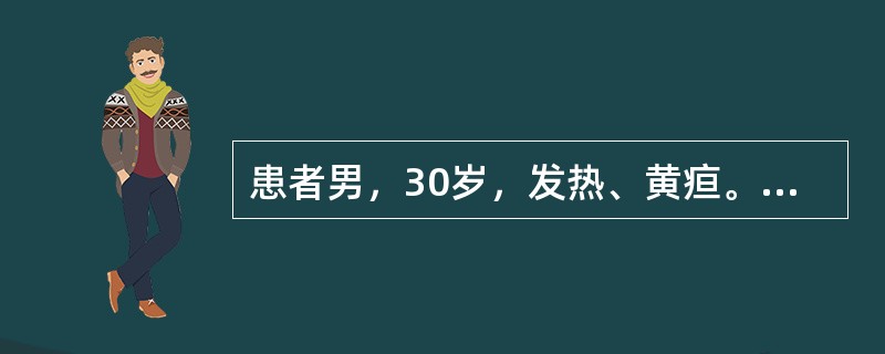 患者男，30岁，发热、黄疸。血清学检查HBsAg（－）、HBeAg（－）、HBsAb（－）。能证明该患者是HBV感染的指标是