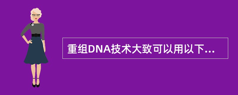 重组DNA技术大致可以用以下几个字简单概括：分（目的基因的分离）、切（限制性内切酶切割目的基因和载体）、接（目的基因和载体连接）、转（连接产物导入受体细胞）、筛（筛选阳性重组子）。将重组DNA导入大肠
