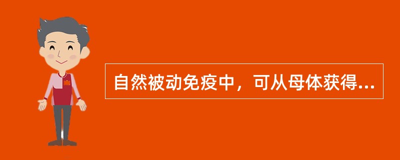 自然被动免疫中，可从母体获得的抗体类别是（）