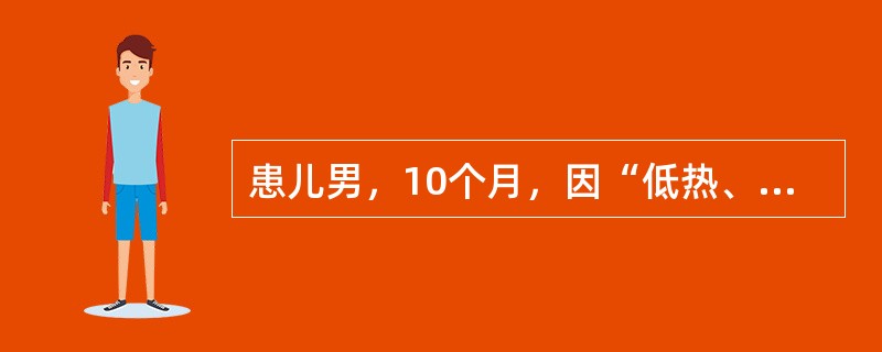 患儿男，10个月，因“低热、频繁呕吐伴腹泻2d”来诊。患儿出生后为人工喂养，2d前出现低热、频繁呕吐伴腹泻，为蛋花汤样粪，10余次/d，尿量减少。查体：T37.8℃；精神烦躁，方颅，前囟、眼窝凹陷，皮