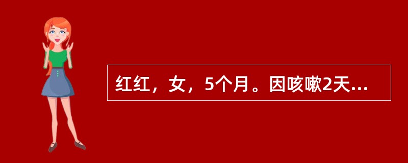 红红，女，5个月。因咳嗽2天，加重1天入院。患儿咳嗽初为干咳，以后有痰，并出现呼吸困难。体格检查：体温39℃，心率152次，呼吸52次/分，体重6kg，面色灰白，精神萎靡，两肺有细湿啰音，诊断为“支气