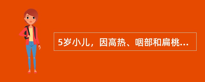 5岁小儿，因高热、咽部和扁桃体充血肿胀，表面有点状黄白色渗出物来院就诊，以猩红热收入院。目前该患儿体温达39℃，全身出疹。皮疹首发于耳后，之后遍及全身。为在弥漫性充血的皮肤上出现分布均匀的针尖大小的丘